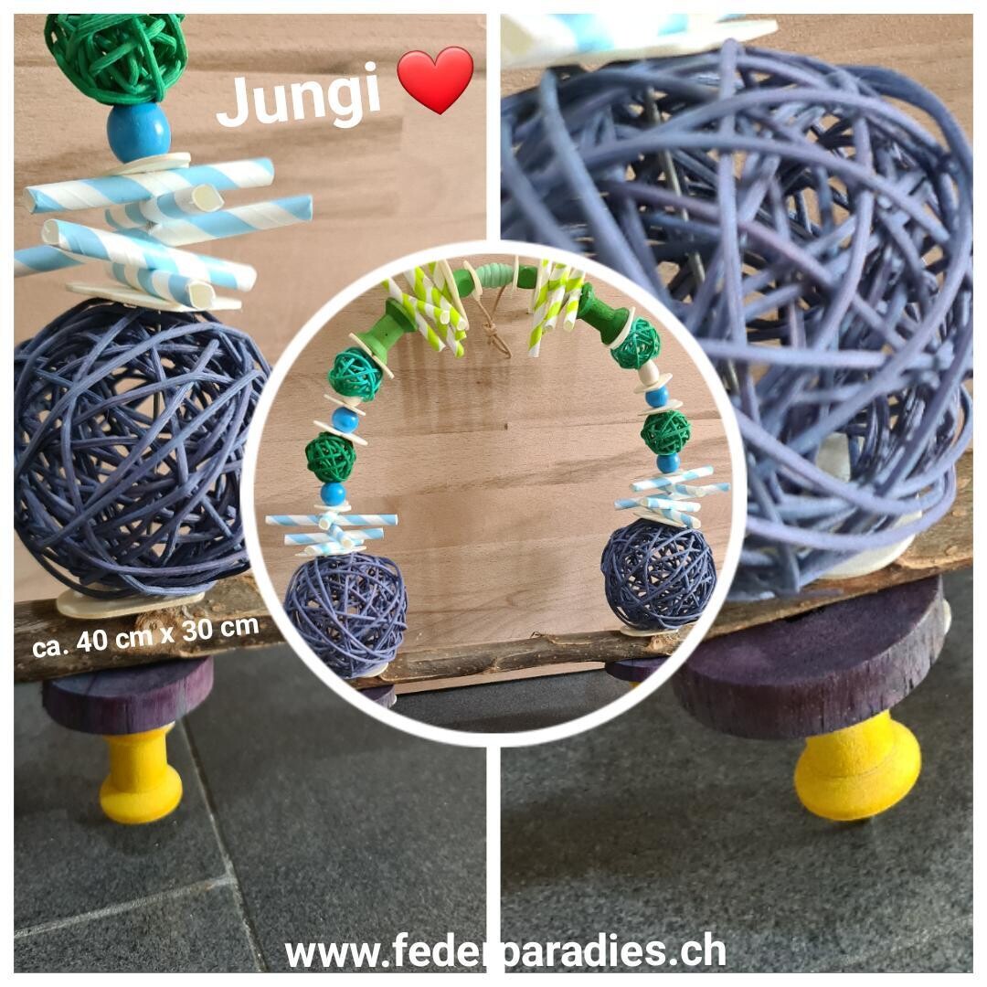 Jungi