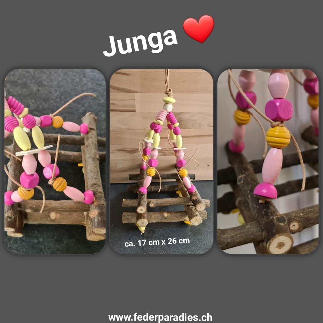 Junga