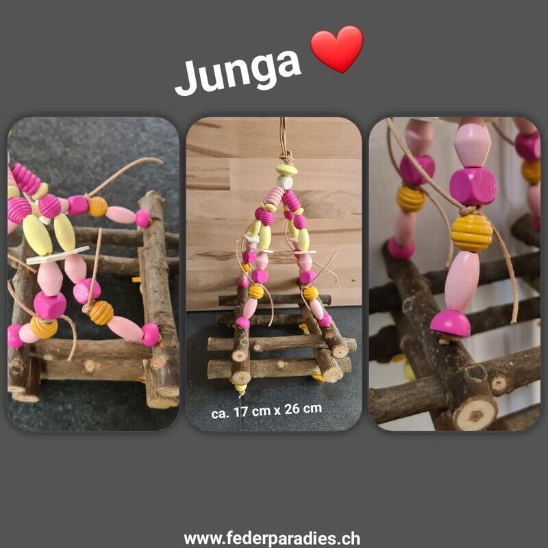 Junga