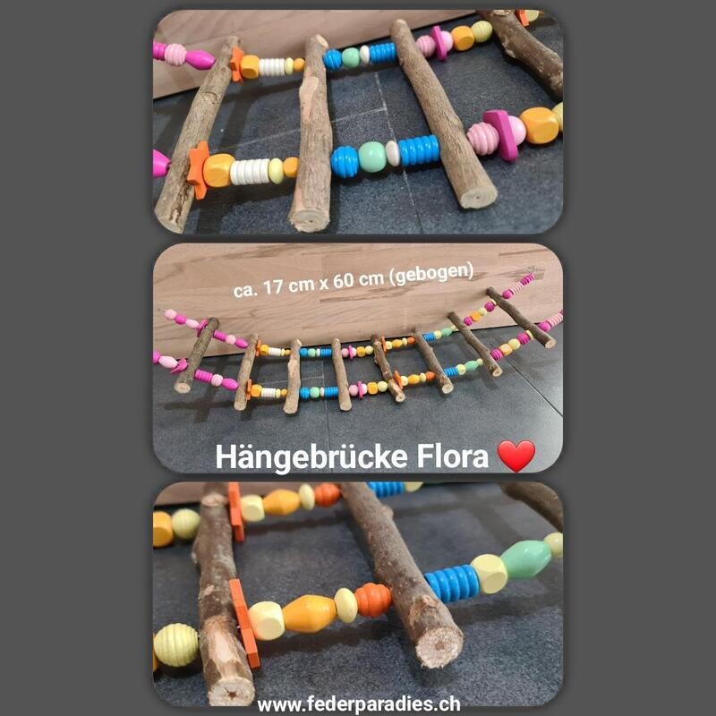Hängebrücke Flora
