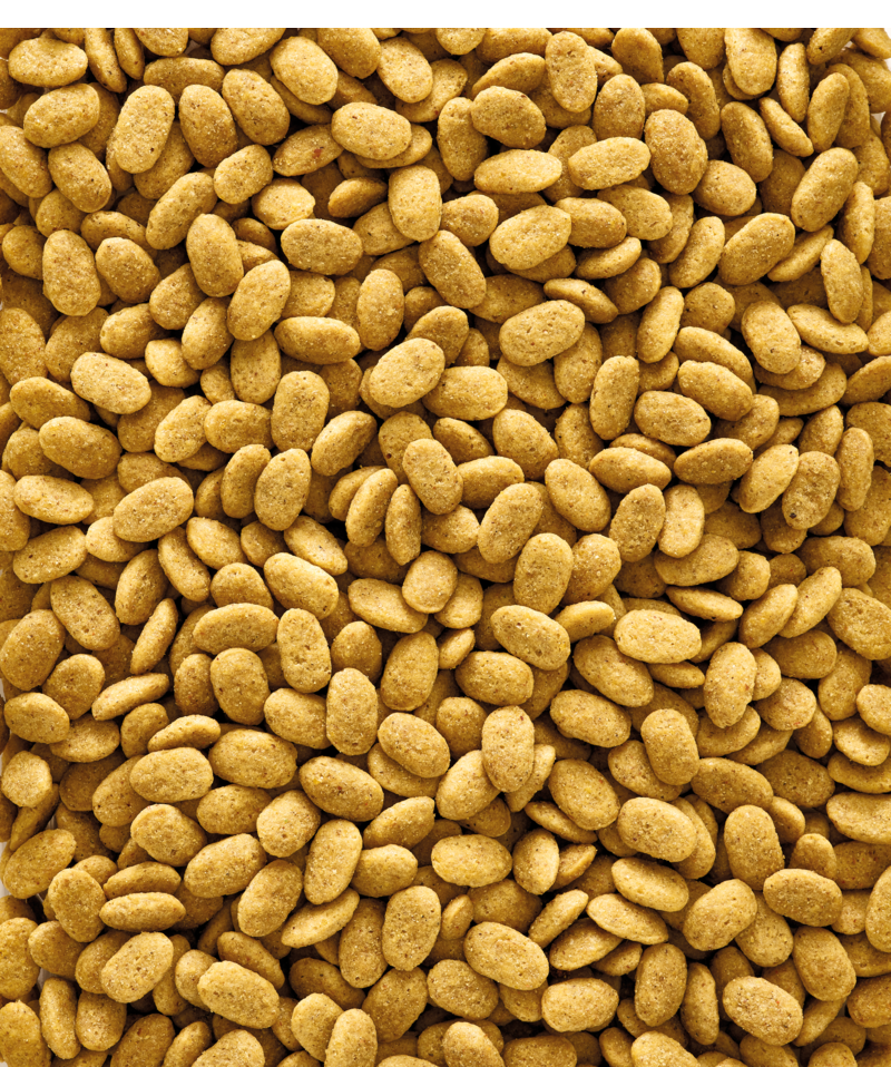 Nutribird P15 ORIGINAL / 10 Kilo