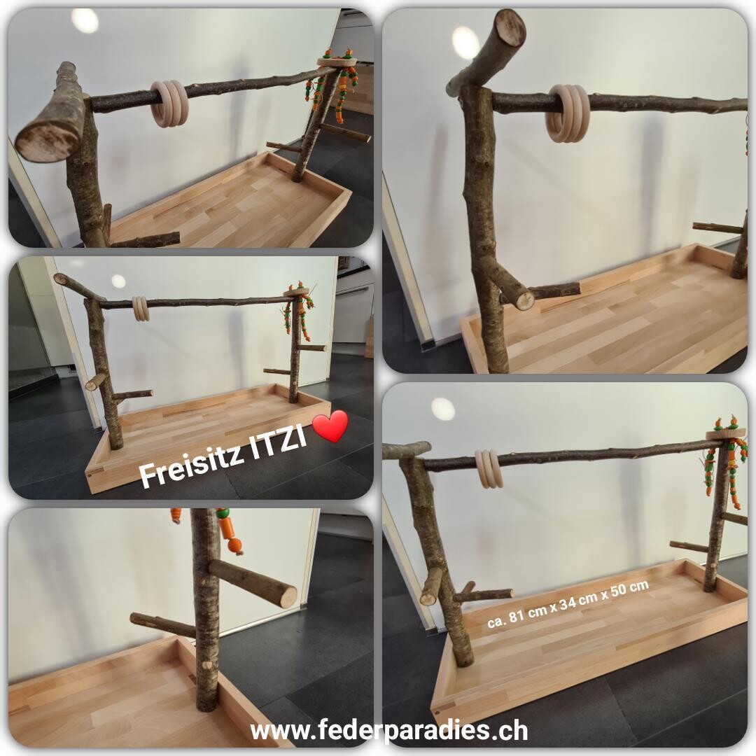 Freisitz ITZI