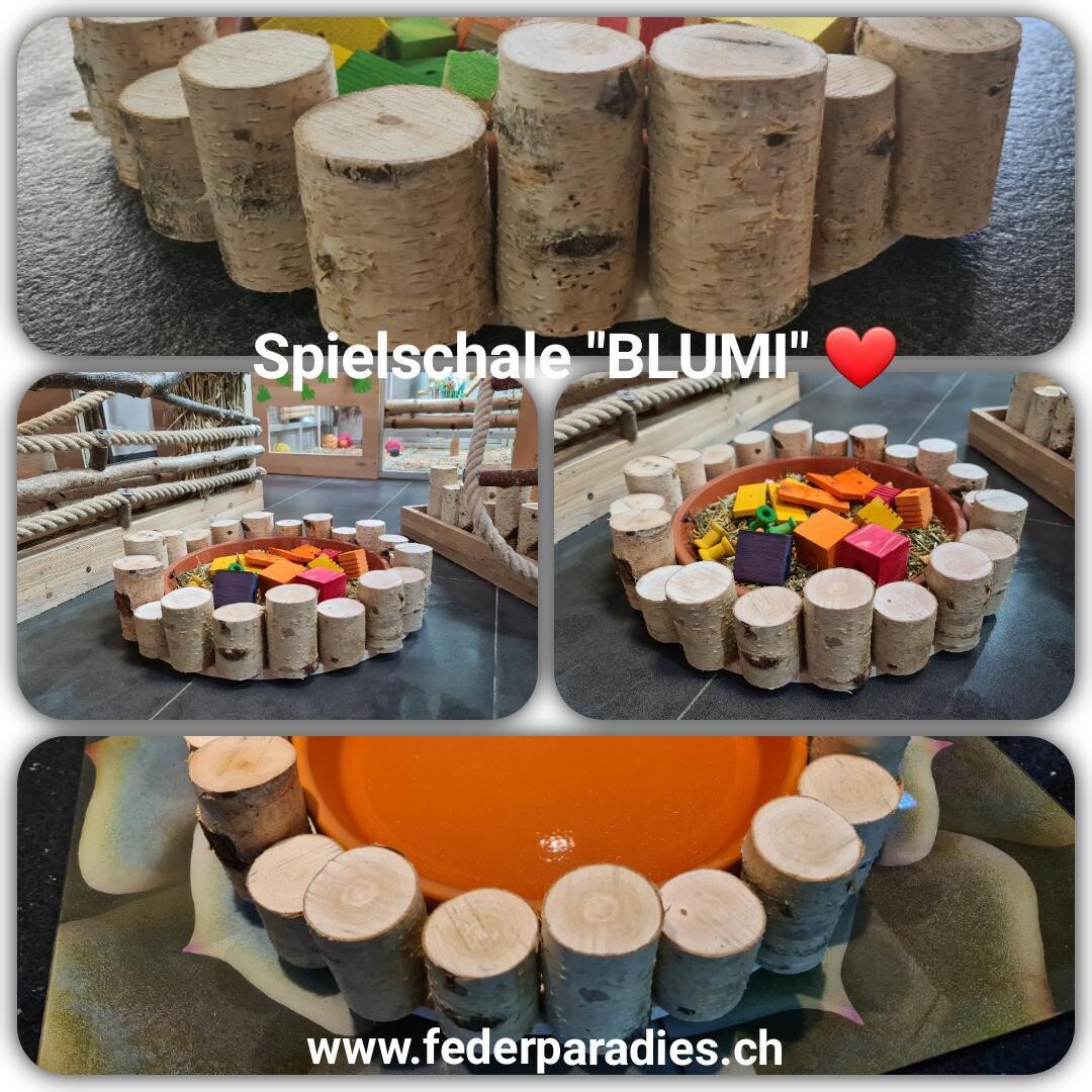 Spielschale "BLUMI"