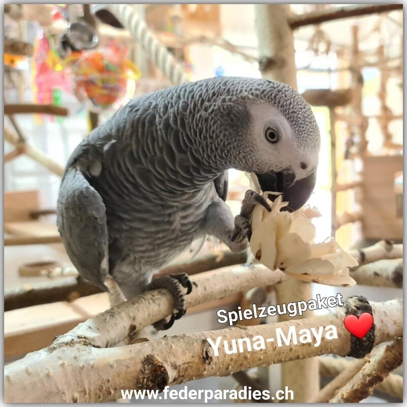 Spielzeugpaket YUNA-Maya