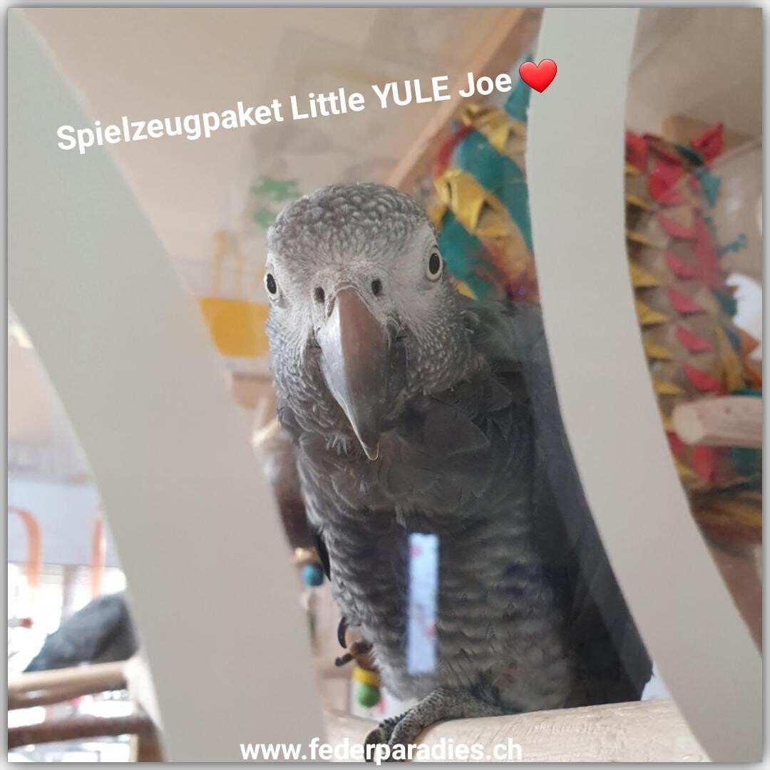 Spielzeugpaket Little YULE Joe