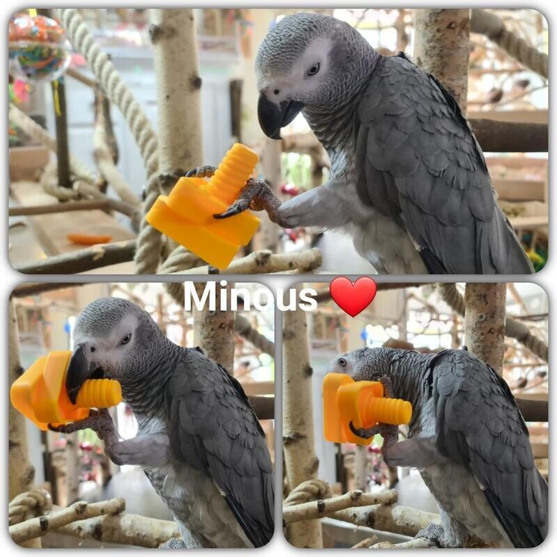 MINOUS SET 8 Stück / kleines Gewinde oder grosses Gewinde wählbar
