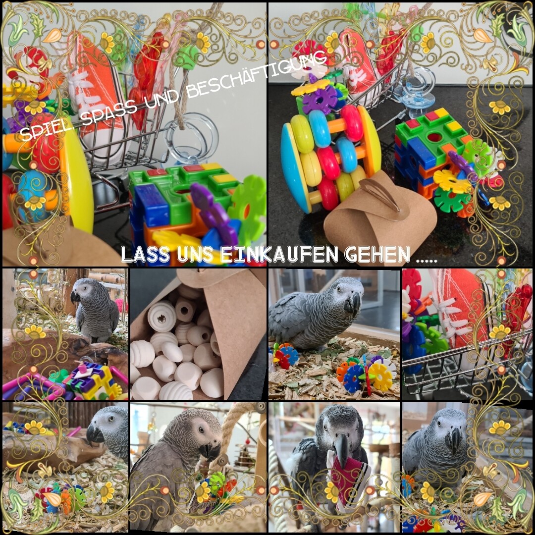 Lass uns einkaufen gehen ...