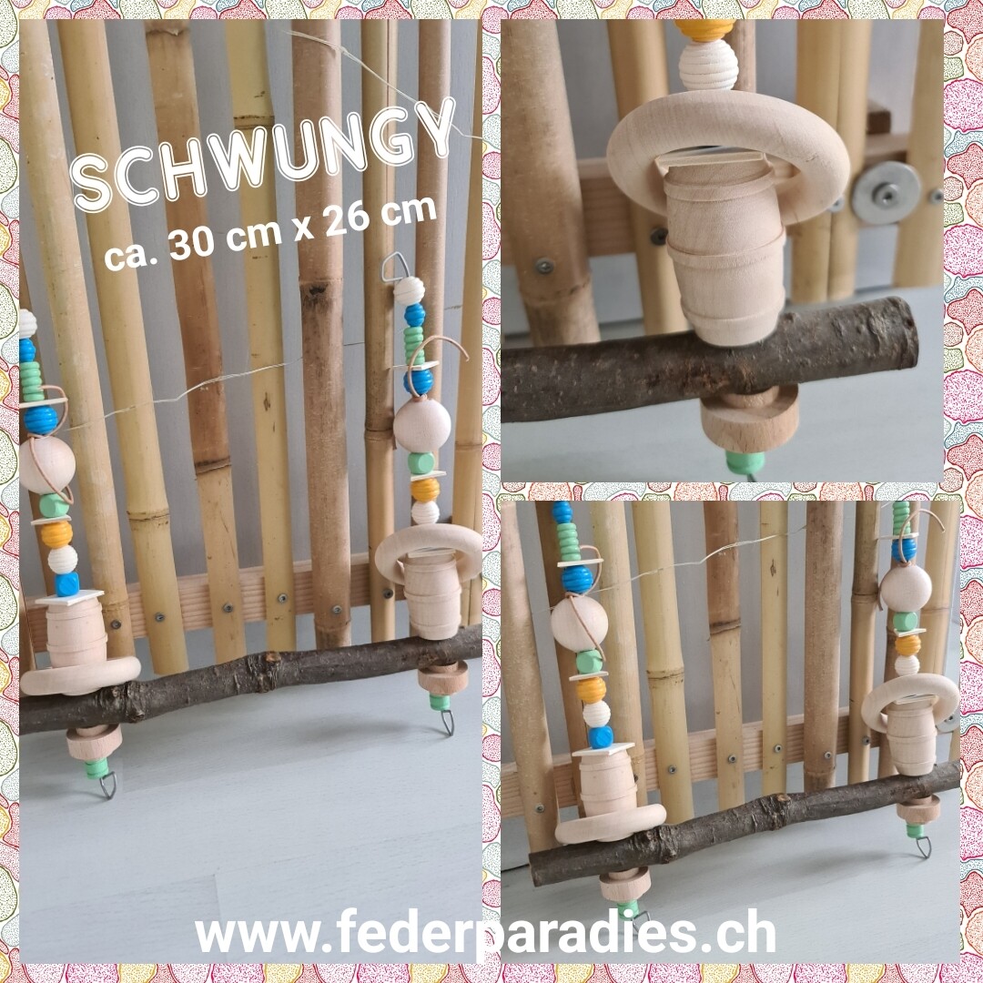 Schwungy