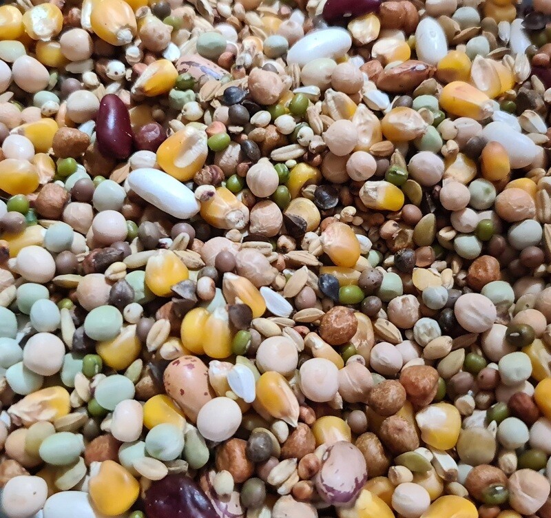 Papageien Kochfutter