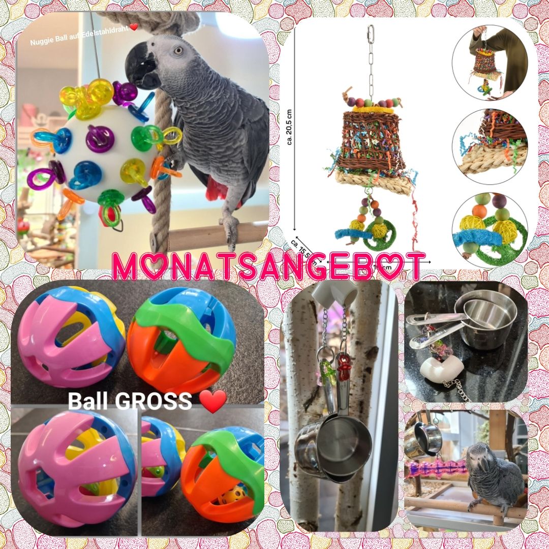 Monatsangebot "Spielzeuge" für Papageien