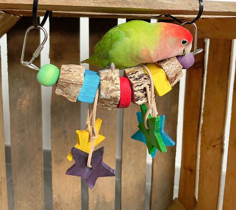 Avian Fun Swing