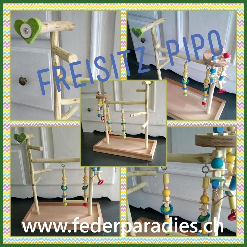 Freisitz / Spielplatz PIPO