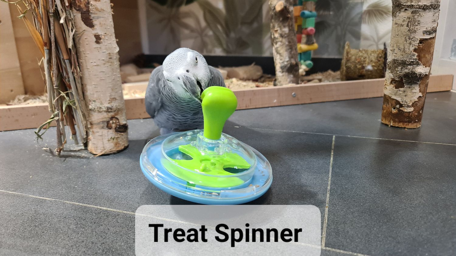 interaktives Denkspielzeug Treat Spinner