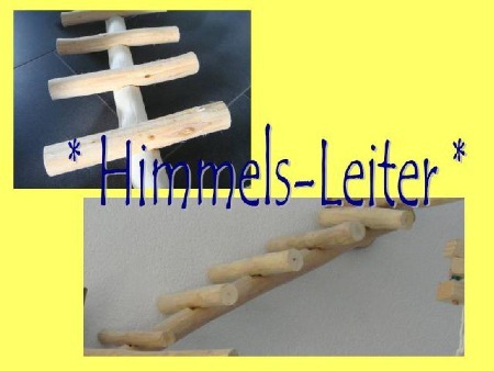 Himmels - LEITER