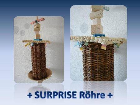Surprise Röhre