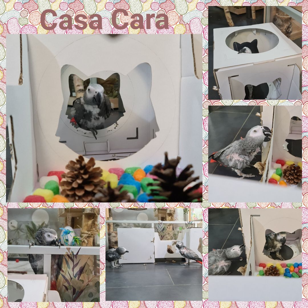 Casa Cara, Pappe, 93 cm × 72 cm x 30,5 cm, weiss / HIT