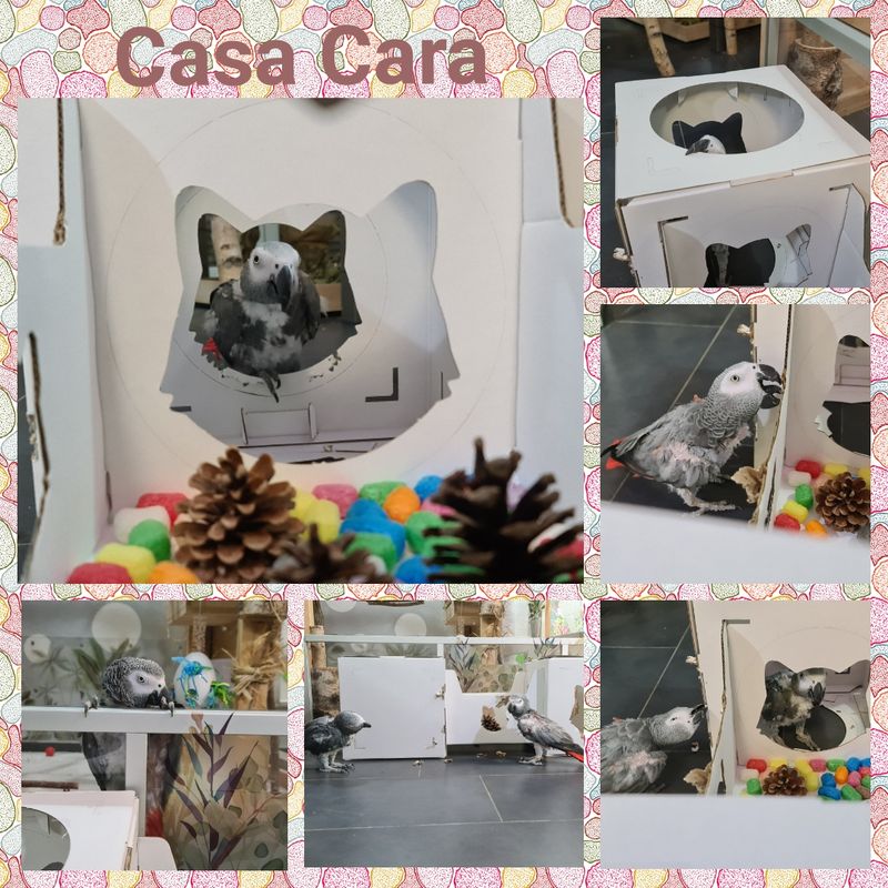 Casa Cara, Pappe, 93 cm × 72 cm x 30,5 cm, weiss / HIT Casa Cara, Pappe, 93 cm × 72 cm x 30,5 cm, weiss / HIT