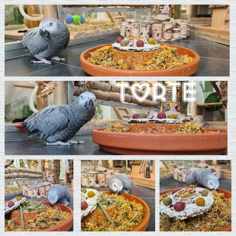 JR Farm Torte 200 gramm