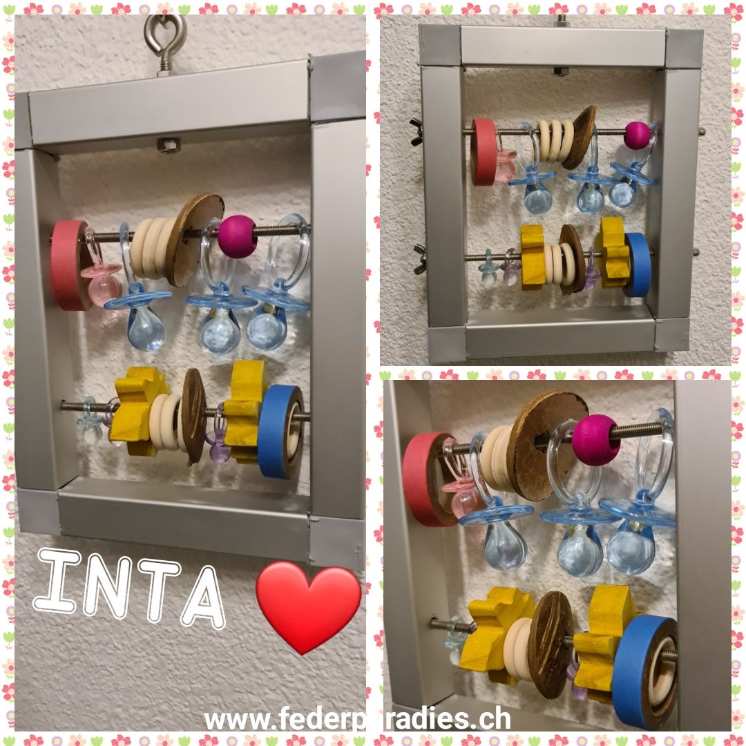 INTA