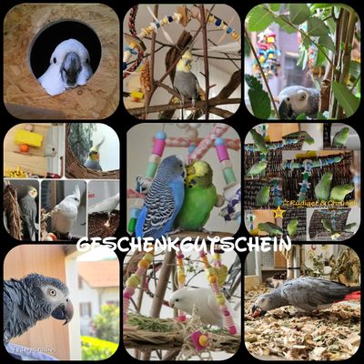 Geschenkgutscheine