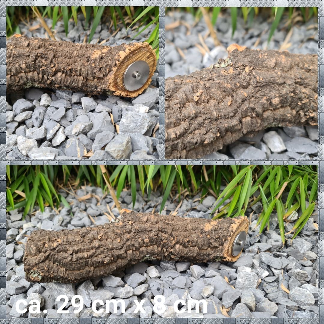 Korkeichen Sitzast Jumbi