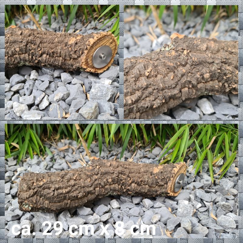 Korkeichen Sitzast Jumbi