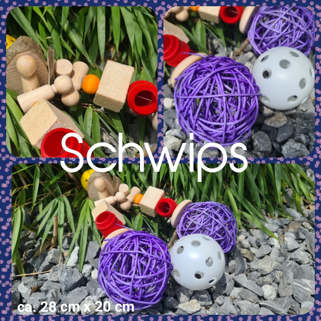 Schwips