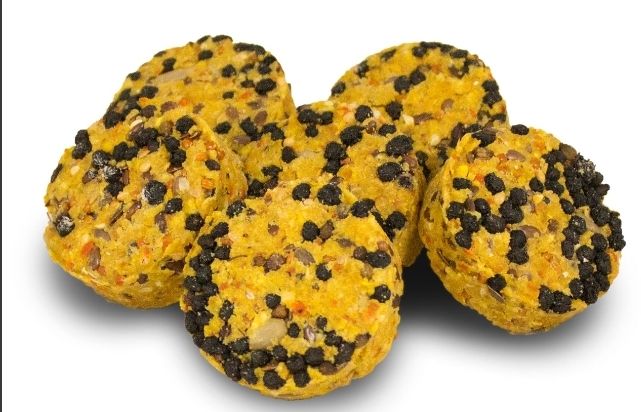 JR Vollkorn Blaubeer-Cookies 80 gramm JR Vollkorn Blaubeer-Cookies 80 gramm