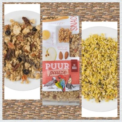 Puur Snack