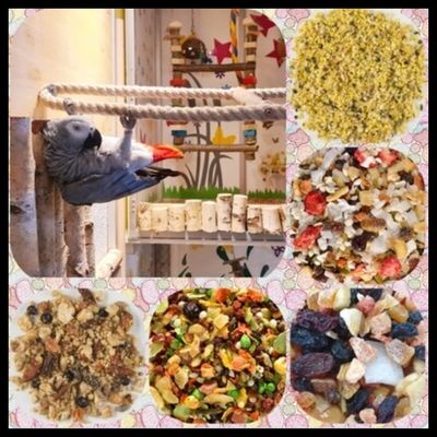 Mischungen / Beeren & Früchte / Gemüse