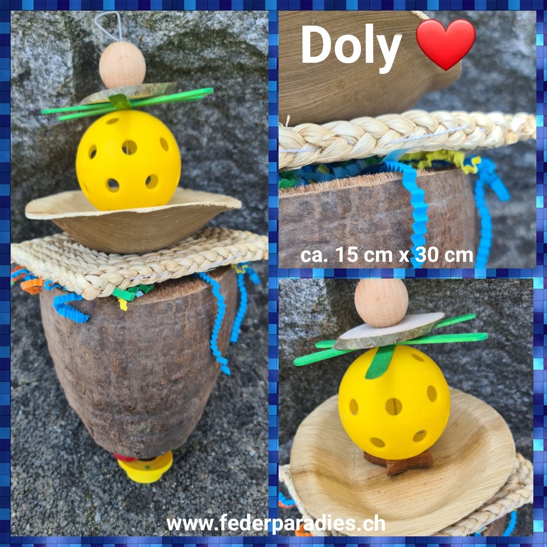 Doly