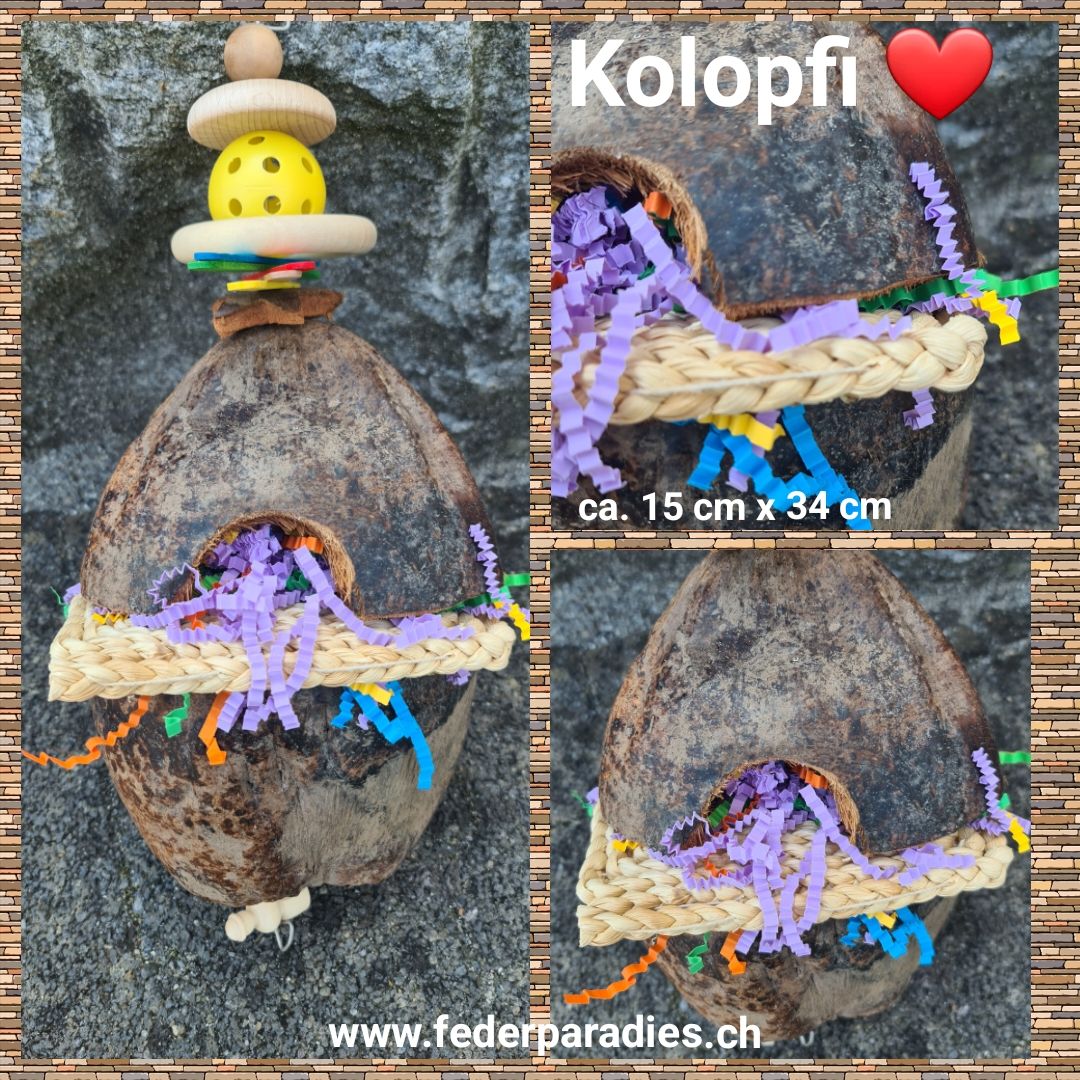 Kolopfi