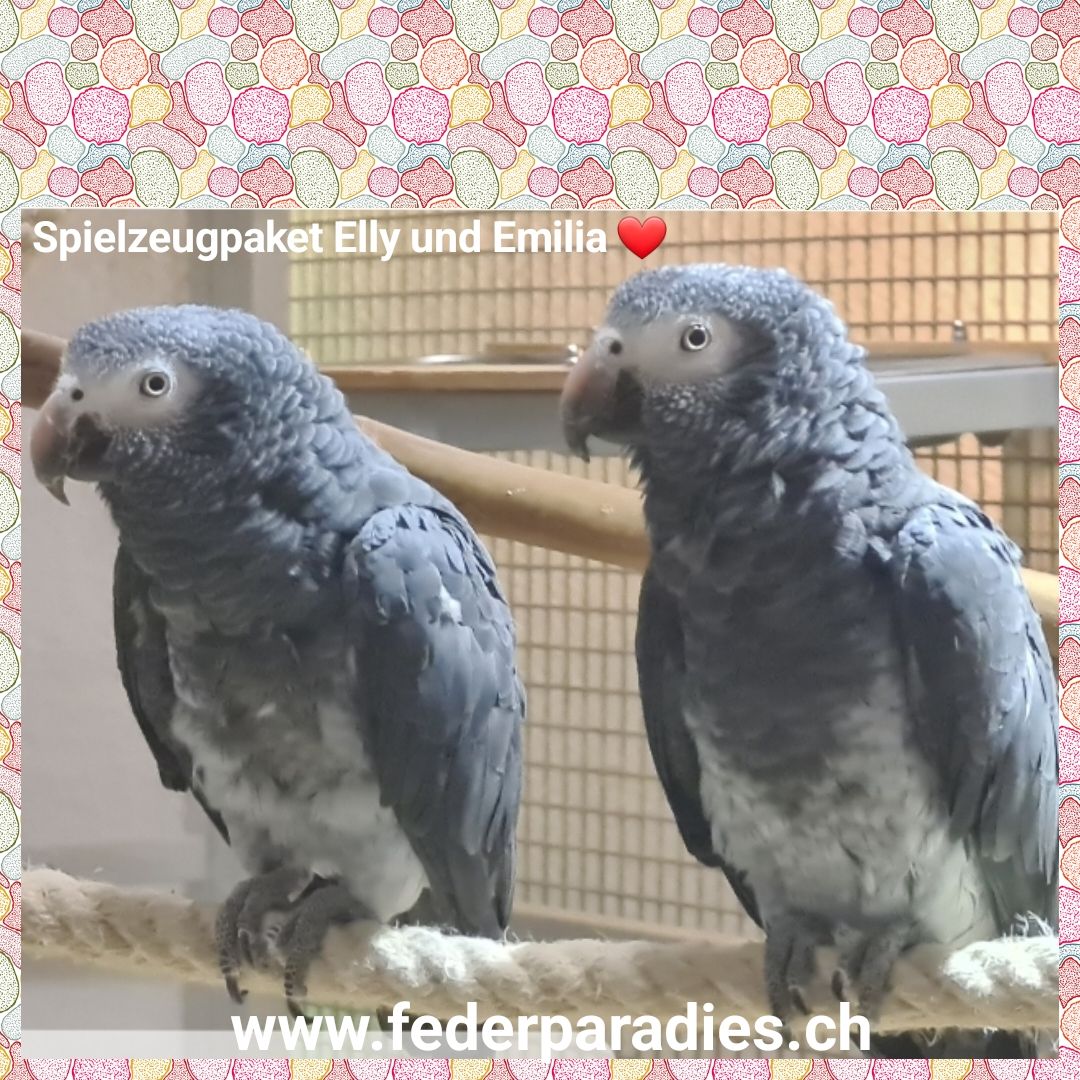 Spielzeugpaket Elly und Emilia