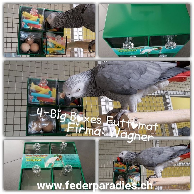4-Big Boxes Futtomat