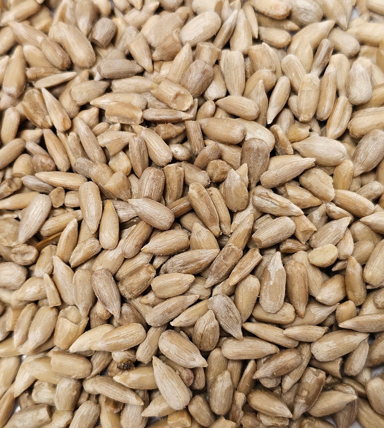 Sonnenblumenkerne geschält 200 gramm Sonnenblumenkerne geschält 200 gramm