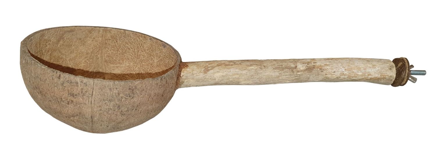 Kokos Futterschale mit Stiel