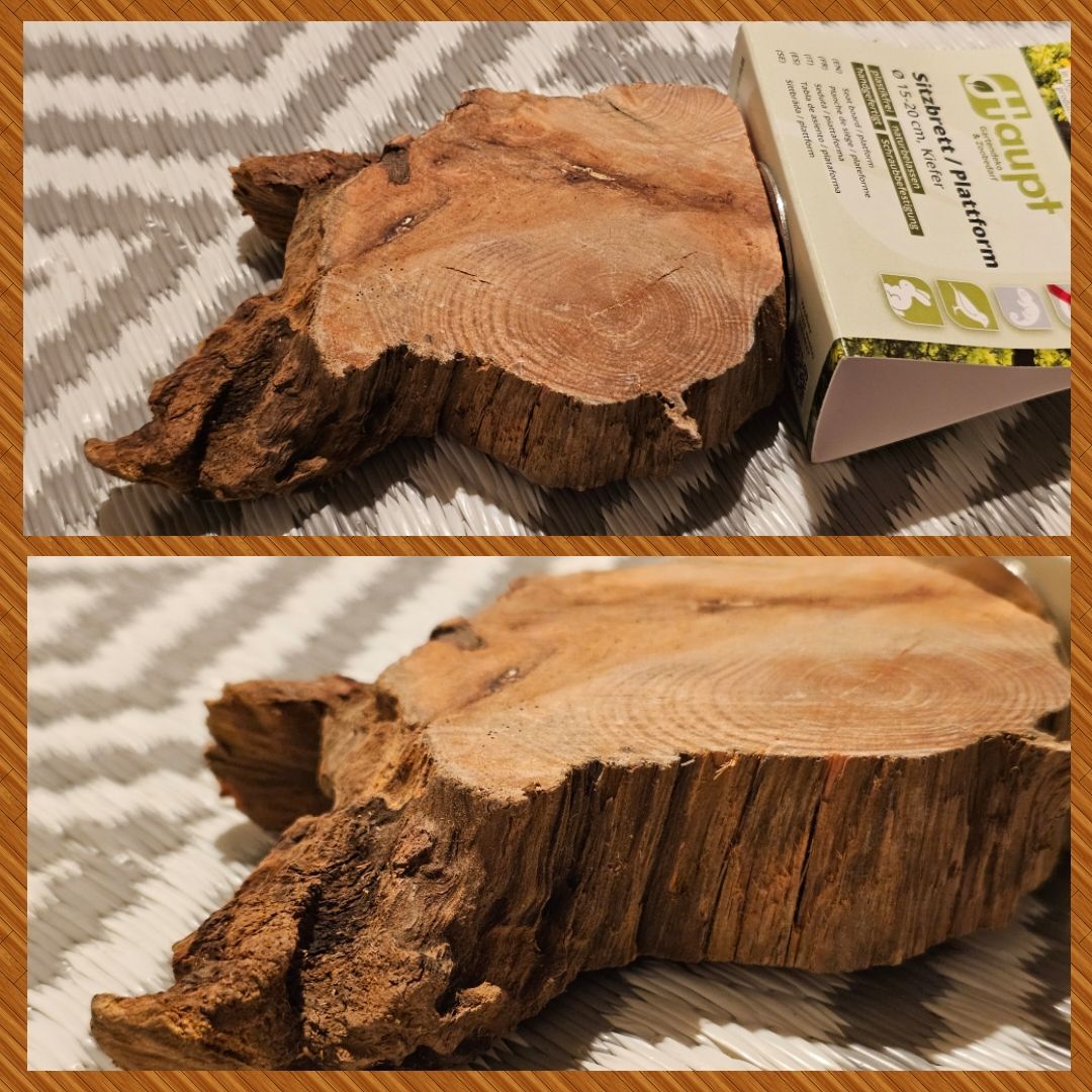 Sitzbrett Wurzelscheibe Sitzbrett Wurzelscheibe