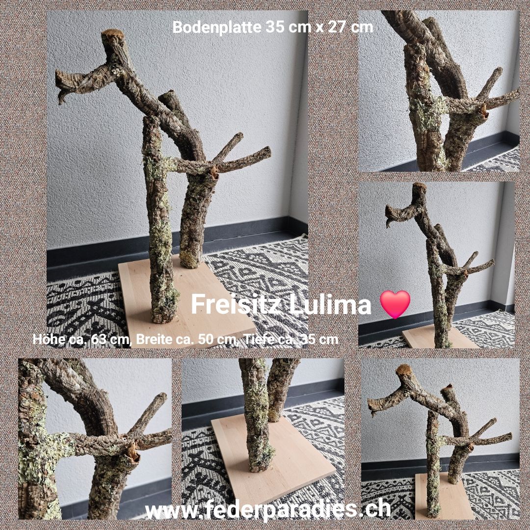 Freisitz Lulima Freisitz Lulima