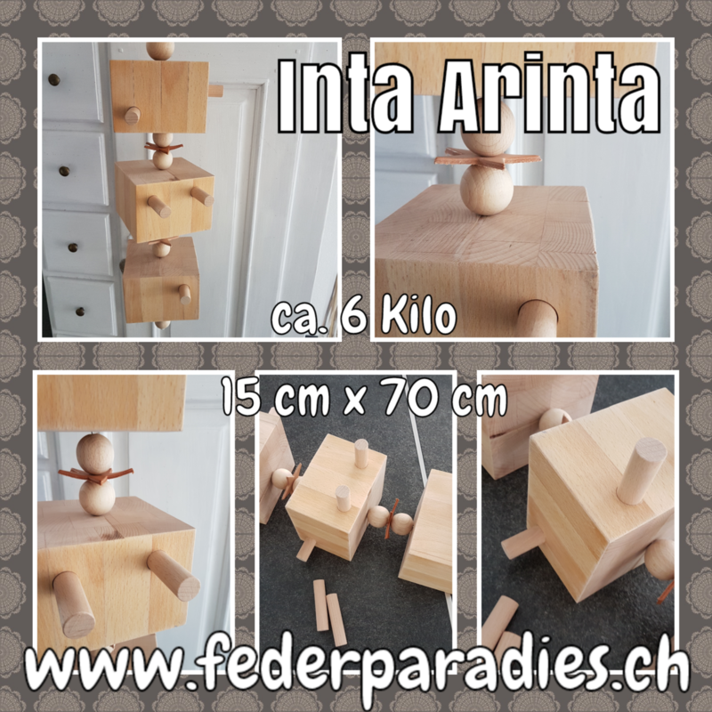 INTA ARINTA