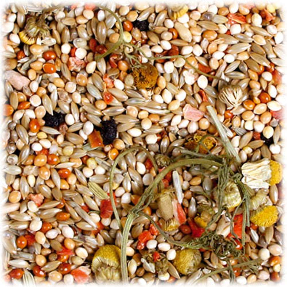 JR Birds Individual Wellensittich 1 Kilo