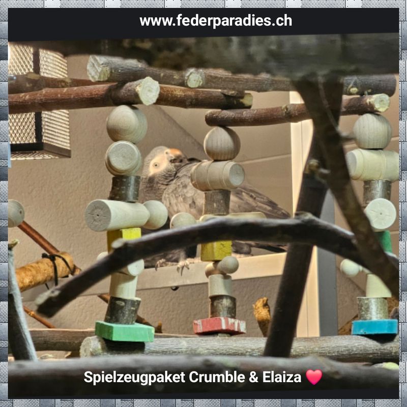 Spielzeugpaket Crumble und Elaiza