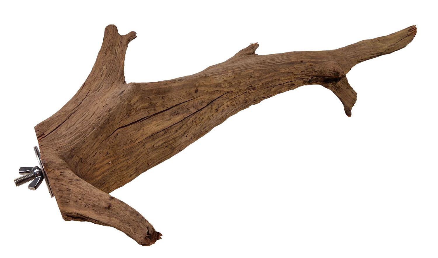 Wurzel-Sitzstange groß