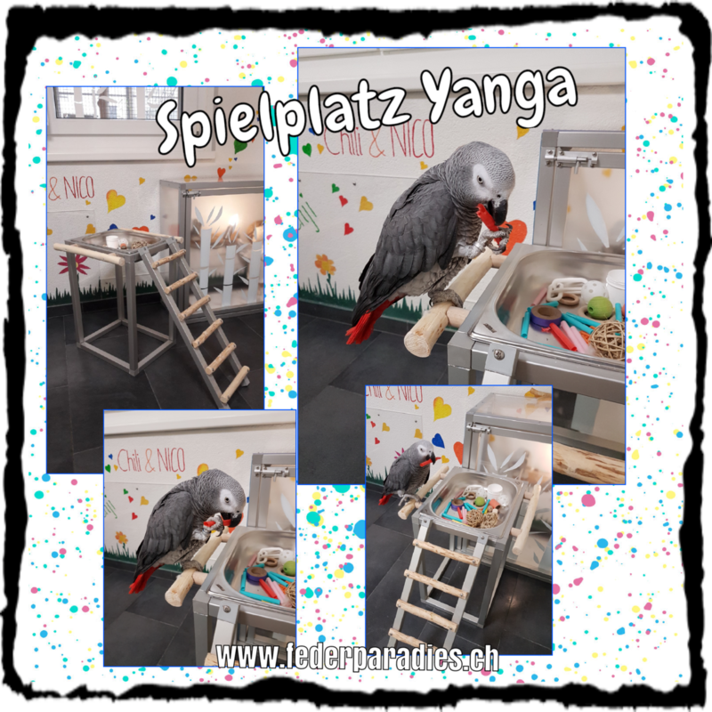 Spielplatz / Spieltisch YANGA