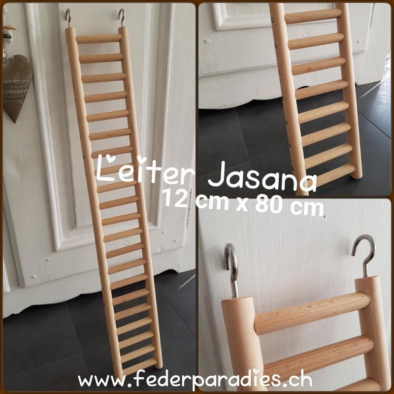 Leiter Jasana