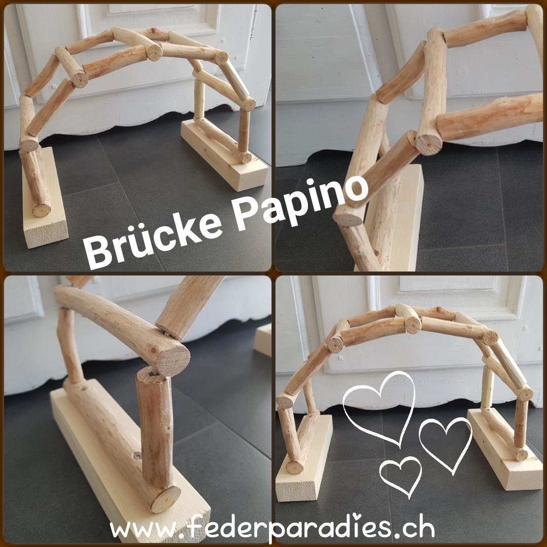 Brücke Papino
