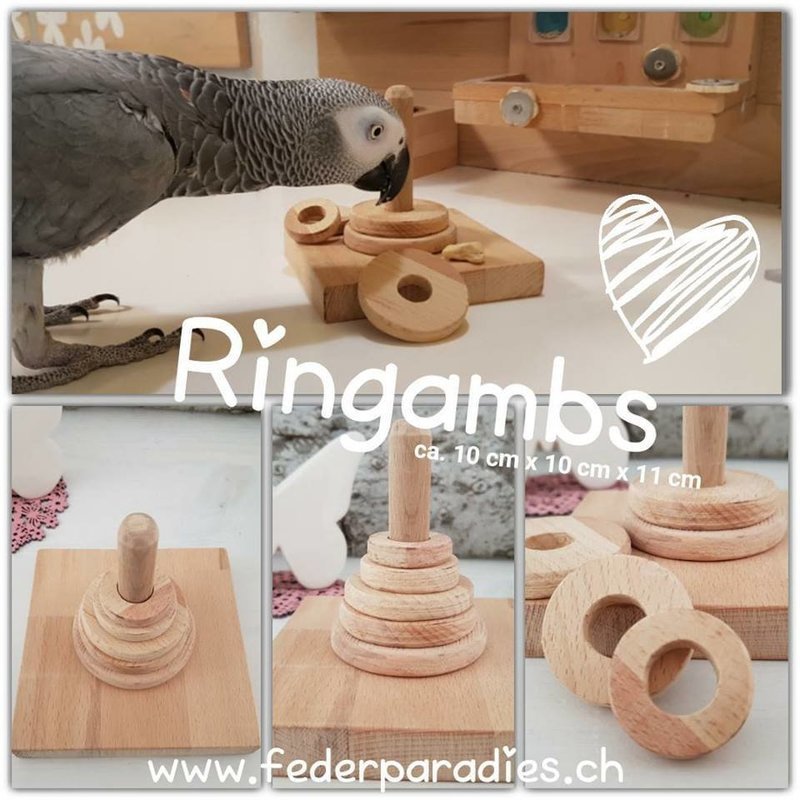 Ringambs