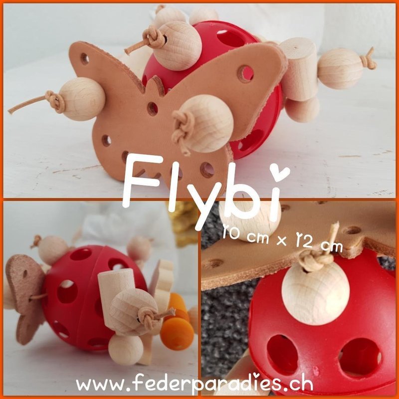 Flybi