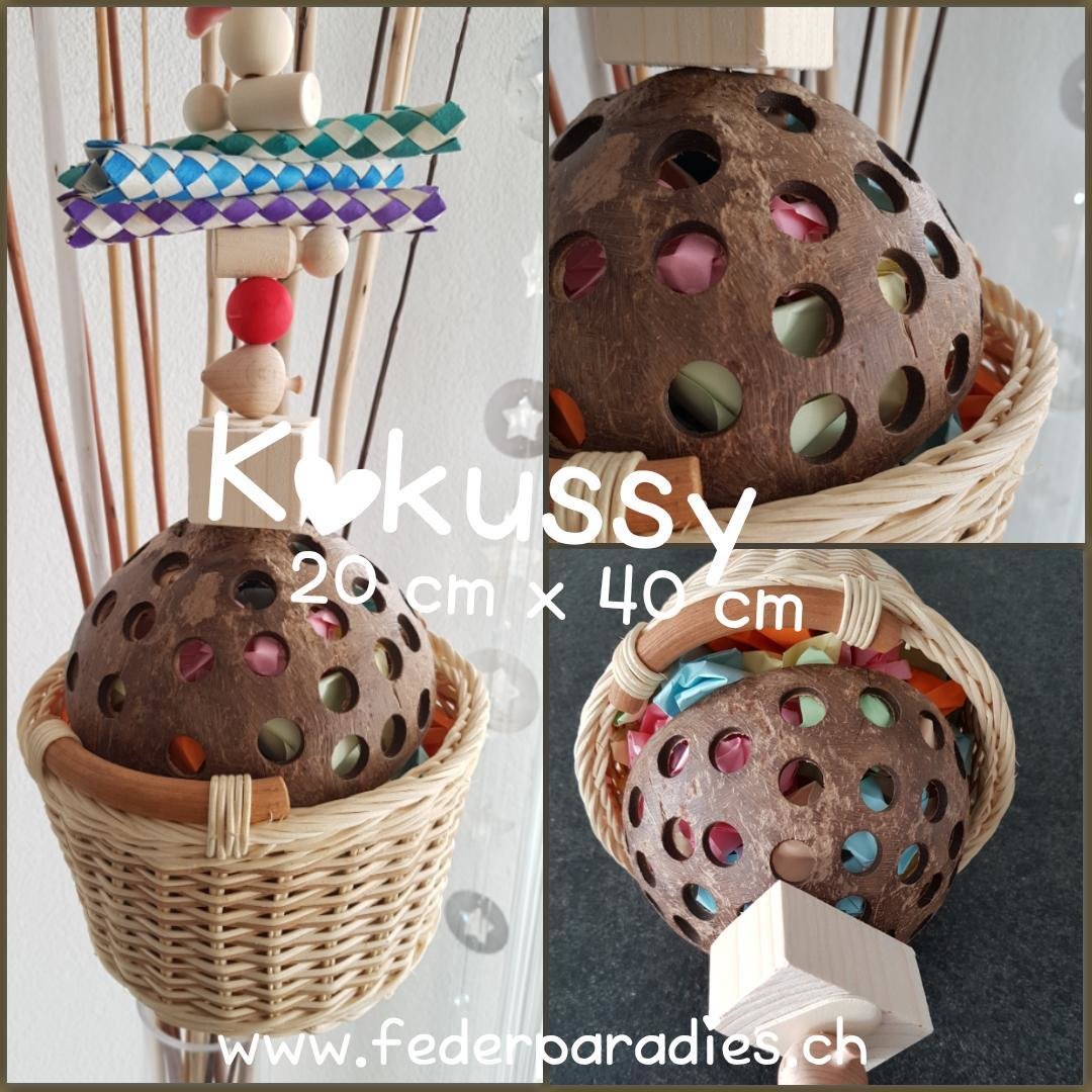 Kokussy