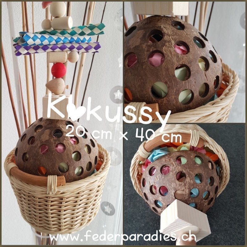 Kokussy