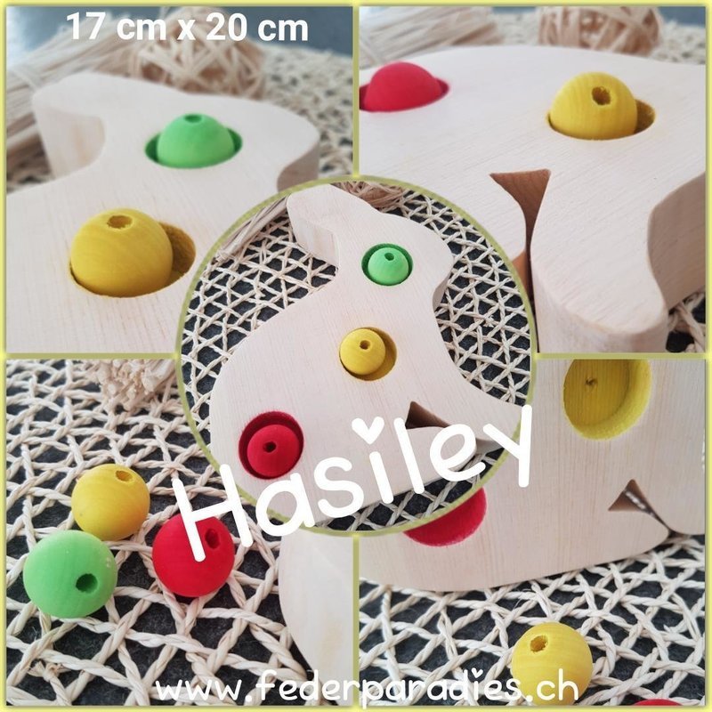 Hasiley